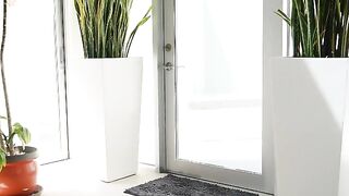 Black Dick Tryouts 13 (2022)