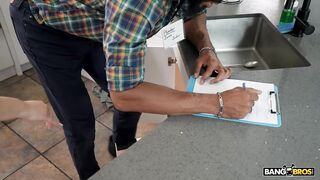 Curiosity Killed The Cat - Dani Valentina