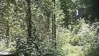 Svenska Nyborjare 4 (1996)